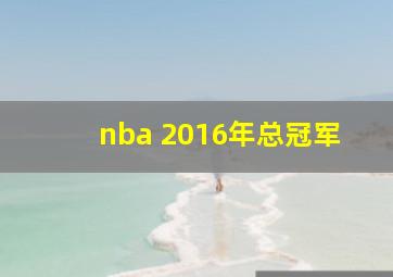 nba 2016年总冠军